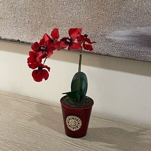 Small red glass vase and a red small orchid.